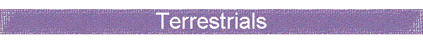 Terrestrials